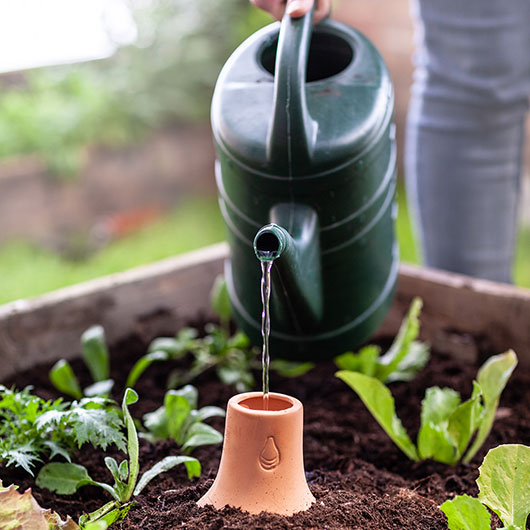 Hier finden Sie alles zur nachhaltigen Pflanzen- und Gartenbewässerung