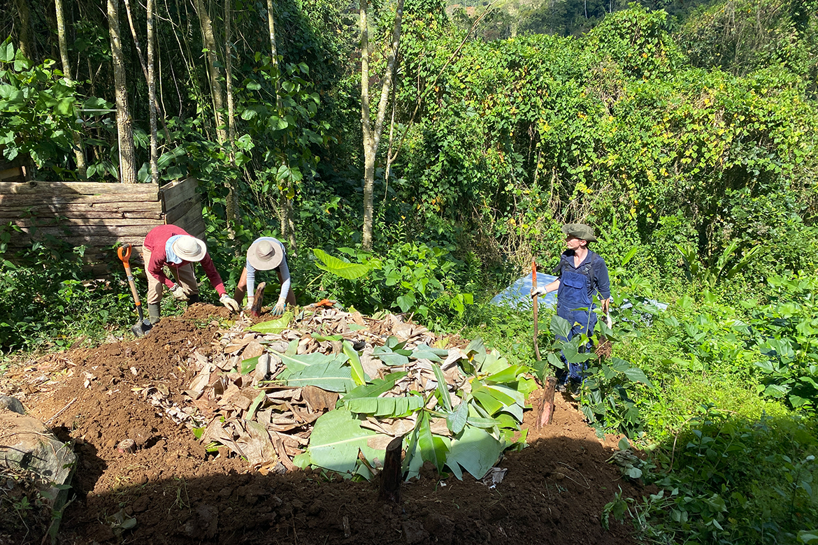 Drei Menschen helfen im Rahmen ihrer Freiwilligenarbeit dabei, einen Banane Circle zu bauen.
