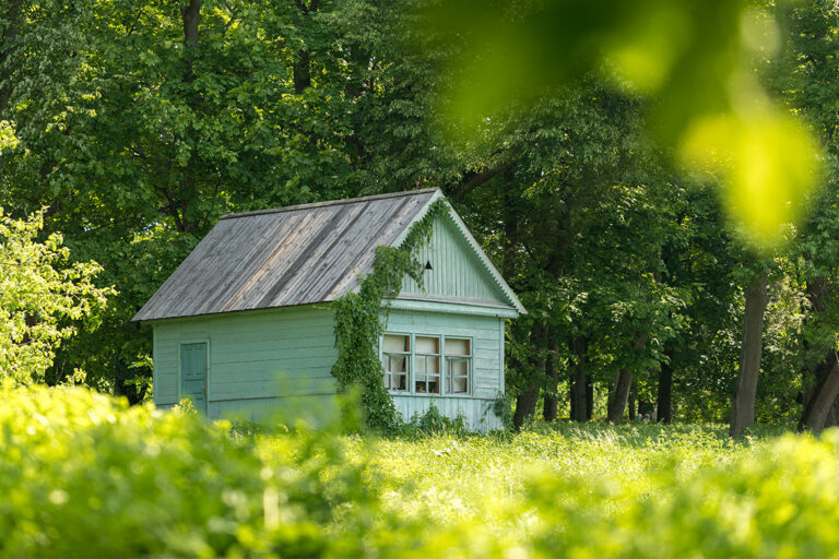 Ein kleines mintgrünes Haus steht in einer Wiese am Waldrand.