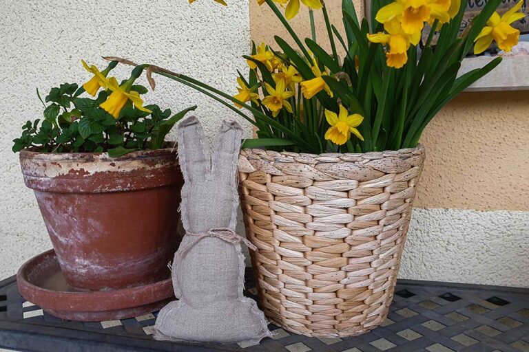 Der selbst genähte Osterhase sitzt zwischen zwei Töpfen, die mit Narzissen bepflanzt sind.