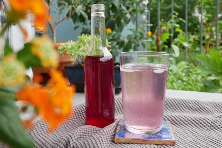 Ein Glas mit rosa gefärbtem Inhalt steht neben einer Flasche Kirschsirup auf dem Gartentisch.