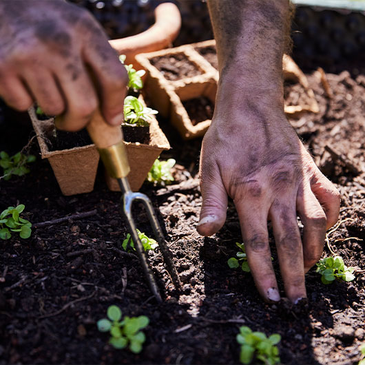 Praktische Gartenhelfer für Ihren Bio-Garten jetzt bei Waschbär entdecken
