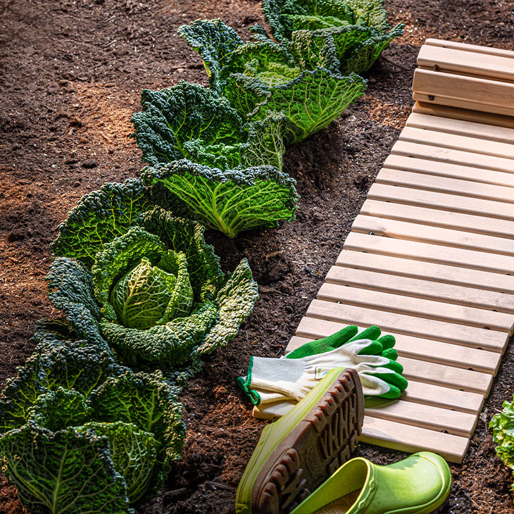 Praktische Helfer für Ihren Garten