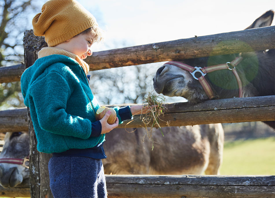 Kind in Wollwalk gekleidet füttert Esel