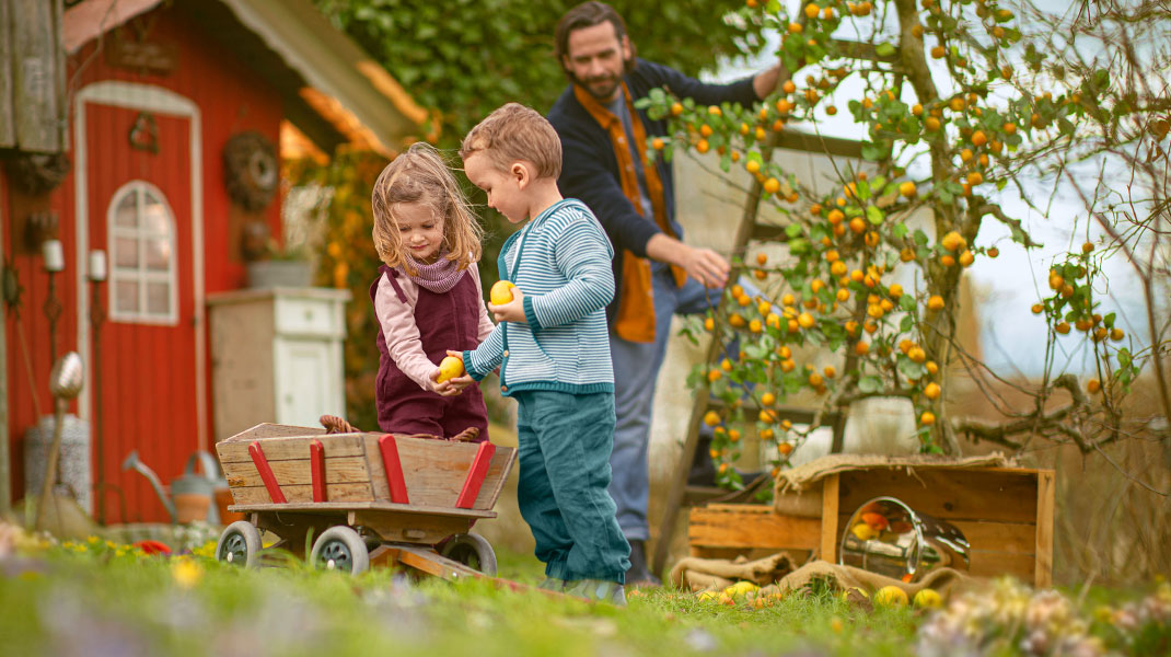 Hier sehen Sie Kinder bei der Apfelernte