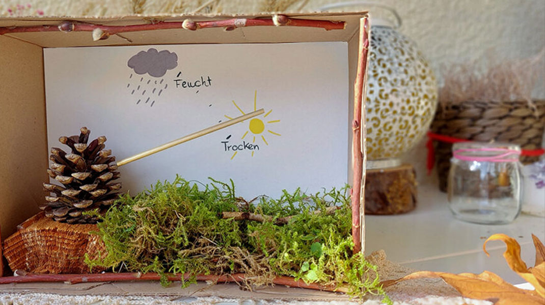 Do it yourself: Hygrometer basteln mit Kindern