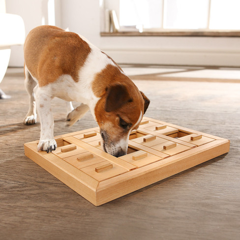 Intelligenzspielzeug für Hunde